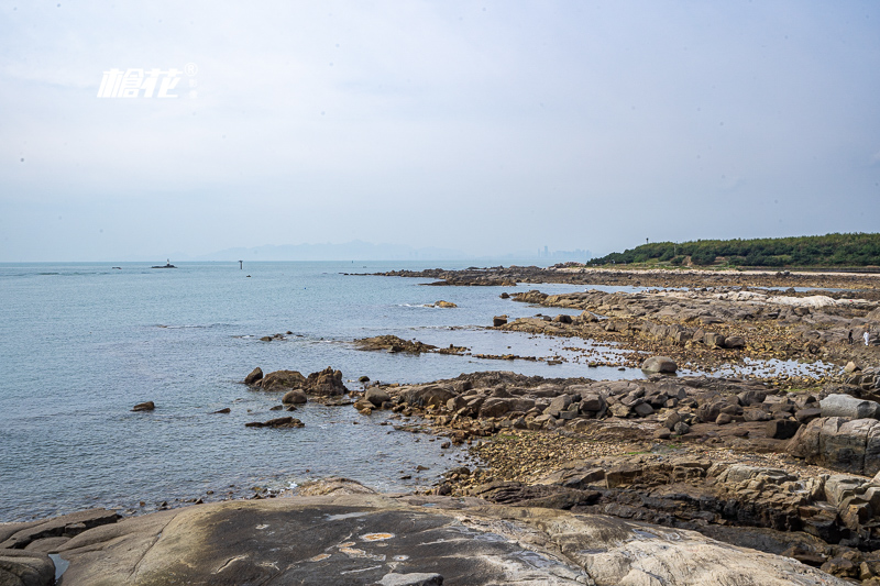 香港澳门旅游景点注意事项有哪些(旅游香港澳门攻略)