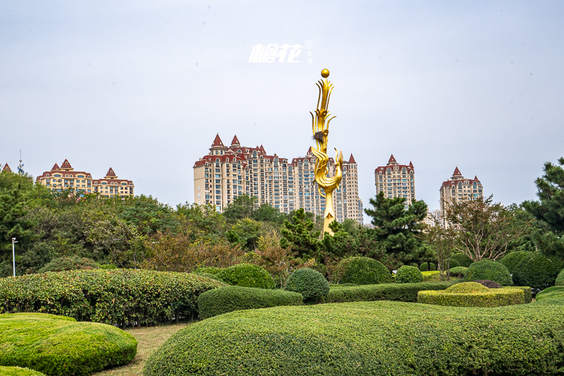 青岛美食澳门城市旅游景点(青岛澳门路附近美食)