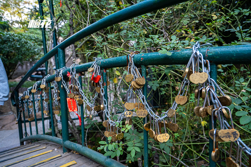 过年去澳门旅游必去的景点(过年去澳门旅游必去的景点是什么)