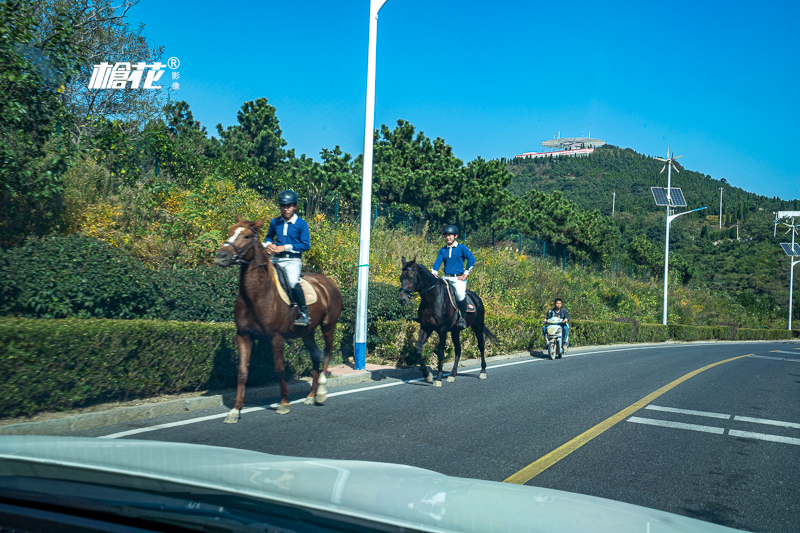 珠海澳门拍照攻略旅游景点，从珠海拍澳门塔的最佳地点