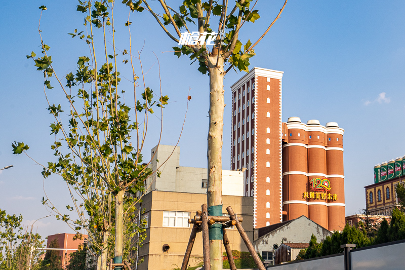 澳门科大离景点多远 澳门科技大学附近