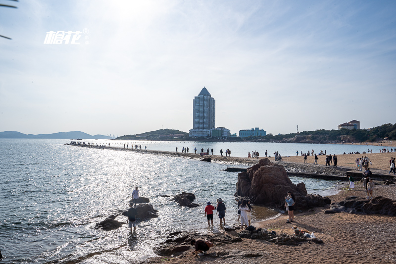 澳门氹仔岛的景点 澳门氹仔岛景点介绍