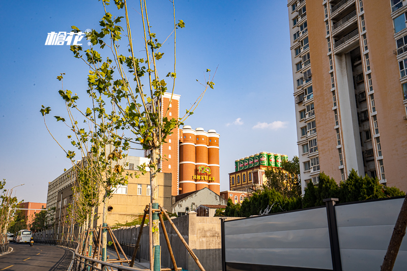 澳门 旅游，澳门大学研究生就业前景