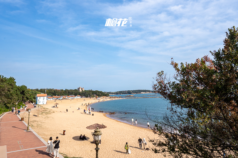 温州去澳门旅游流程(温州去澳门怎么走最省钱)