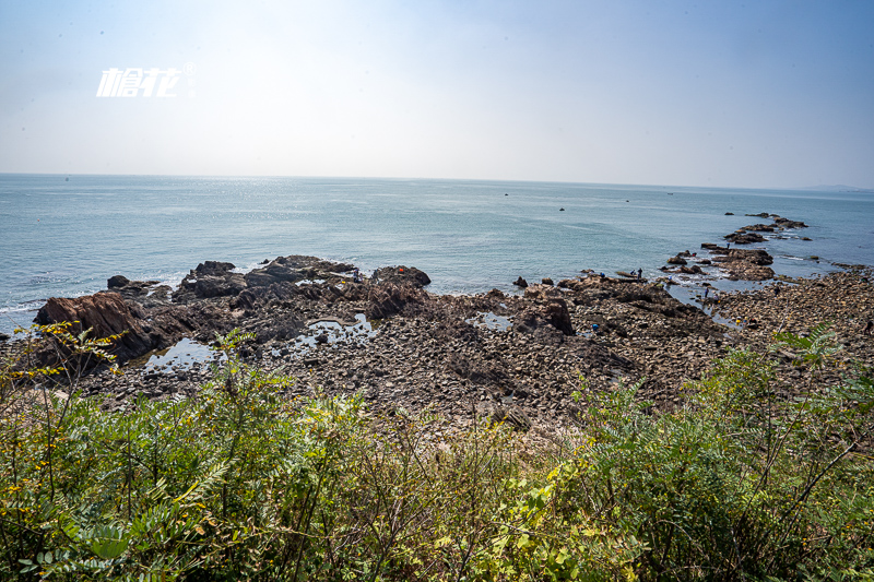 南海到澳门旅游团(七月澳门旅游指南春节澳门旅游指南)