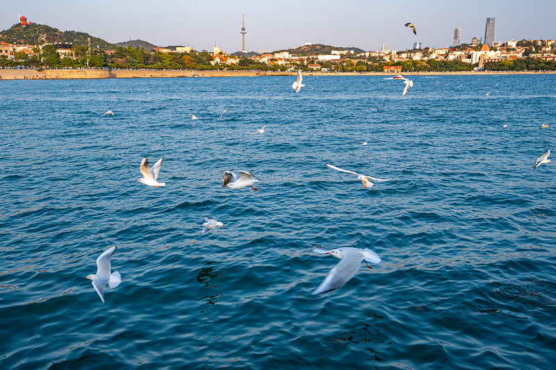 日本还能恢复正常吗？最近去日本旅游安全吗