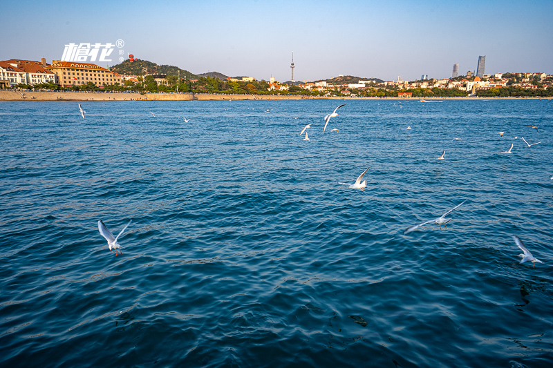 东京湾区旅游市场有哪些(东京湾区旅游市场有哪些景点)