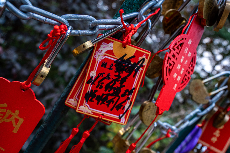 香港自由行攻略及花费，香港三日游自由行攻略