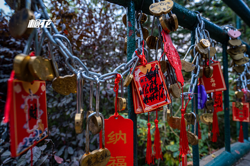 香港越南旅游景点 香港越南旅游景点有哪些